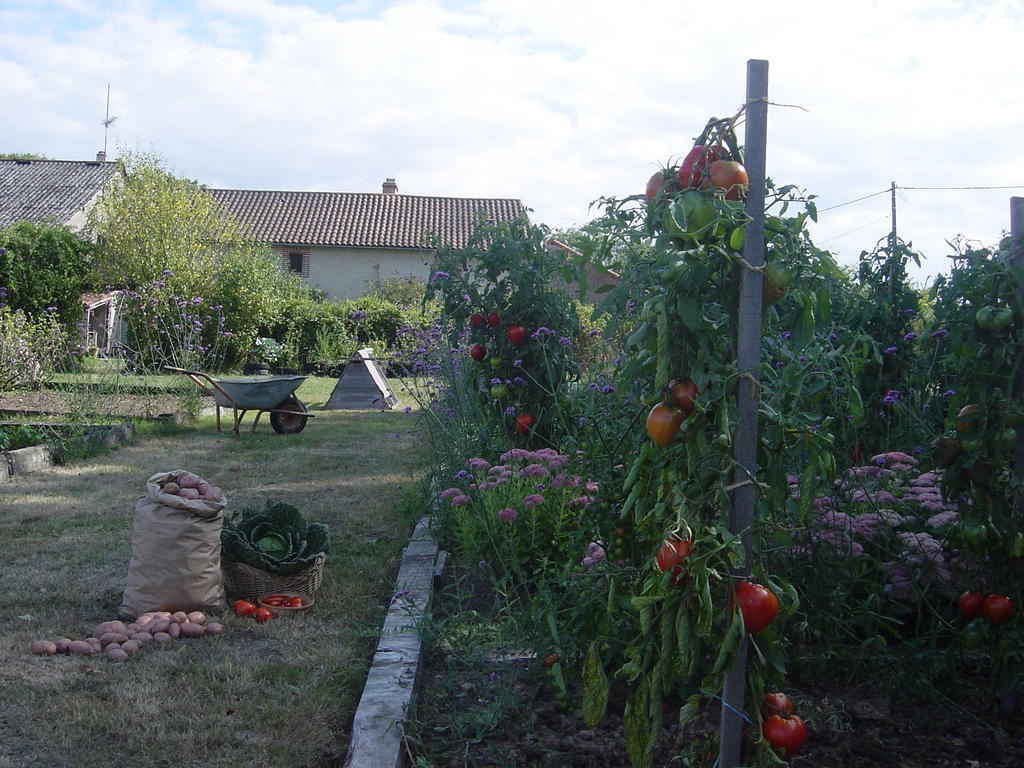Chez Tartaud Villa Lathus St Remy ภายนอก รูปภาพ