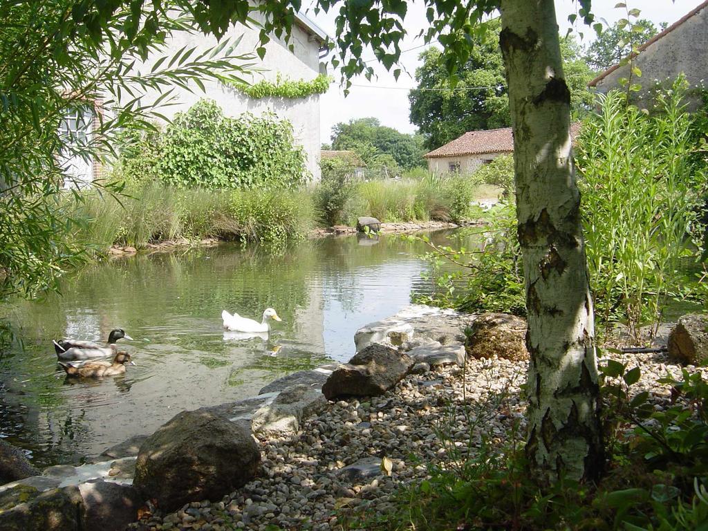 Chez Tartaud Villa Lathus St Remy ภายนอก รูปภาพ